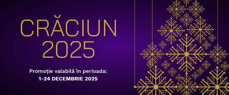 PROMOTII CRACIUN 2025